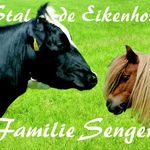Sandra Sengers - @sandra_sengers - Instagram