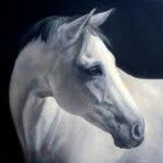 Sandra Severson - @sandraseverson_fineart - Instagram