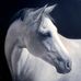 Sandra Severson Fine Art - Facebook