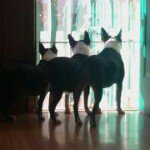 Sandra Sewell Lewis - @sadooland - Instagram