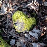 Sandra, naturopathe - @sandra_seyler_naturopathe - Instagram