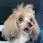 Sandra Shaffer - @sandra.shaffer.7311352 - Instagram