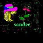 Sandee Shahan - @sandra.shahan - Instagram