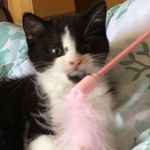 Sandra Sharkey - @sharkey2176 - Instagram