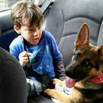 Sandra sharkey - @smsharkey - Instagram
