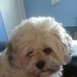 Sandra Sharp - @sandra.sharp.3766 - Instagram