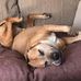 Sandra Sharp - Facebook