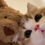 洋 - @sandrasharp84586bqc - Instagram