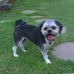 Sandra Sharples - Facebook