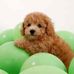 Sandra Sharples - Facebook