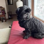 Sandra Sharples - @jasmoxjoe - Instagram