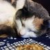 Sandra Sharples - Facebook