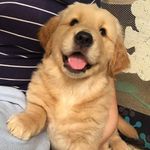 Sandra Shaw - @sandra.shaw.79069 - Instagram