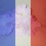 Sandra Shaw Brennan - @brennan1968 - Instagram