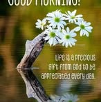Sandra Shay - Facebook