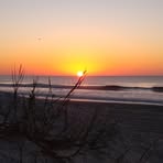 Sandra Shealy - Facebook