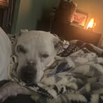 Sandy Sheets - Facebook
