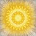 Sandra Shepard - Facebook
