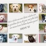 Sandra vl - @sandrashelter - Instagram