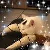 sandraschetler - @sandraschetler - TikTok