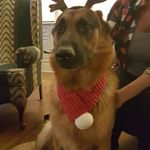 Sandra Shields - @sandrashields7909 - Instagram
