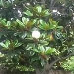 Sandra Shields Martin - @smartin0827 - Instagram