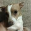 sandrashoemaker82 - @sandrashoemaker82 - TikTok