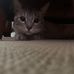 Sandy Show - Facebook