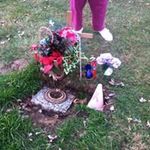 Sandra Shull - @shull.sandra - Instagram