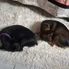 Silvia Sandra - @sandra_silvia_ - TikTok
