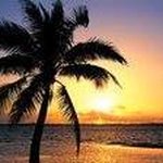 Sandra Simms - @simms2849303 - Instagram