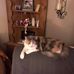 Sandra Sinclair - Facebook