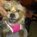 Sondra Sites - Facebook