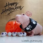 sandra Skelton - @sandraskeltim - Instagram