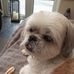 Sandra Skelton - Facebook