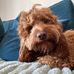 Sandra Skelton - Facebook