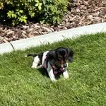 Sandra Skelton Graves Ayres - @snade04 - Instagram