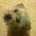 Sandra Merchant Slautterback - Facebook
