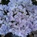 Sandy Slavik - Facebook