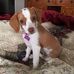 Sandra Slemp - Facebook