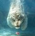 Sandra Slusser - Facebook