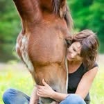 Sandra Coachen Met Paarden - @sandraslym.nl - Instagram