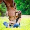 Sandra Coachen Met Paarden - @sandraslym - TikTok
