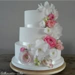 Sandra Small - @silhouettecake_by_sandra.small - Instagram