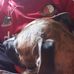 Sandra Smeets - Facebook