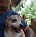 Sandra Smeltzer - Facebook