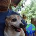 Sandra Smeltzer - Facebook