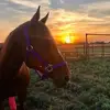 sandrasmithersowe - @sandrasmithersowe - TikTok