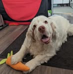 Sandy Snape - Facebook