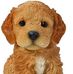 Sandra Snapp - Facebook